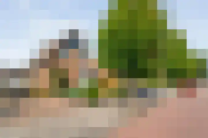 Kolonieweg 24 Balkbrug thumbnail 4