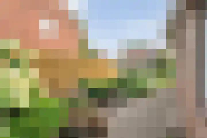 Kolonieweg 24 Balkbrug thumbnail 5