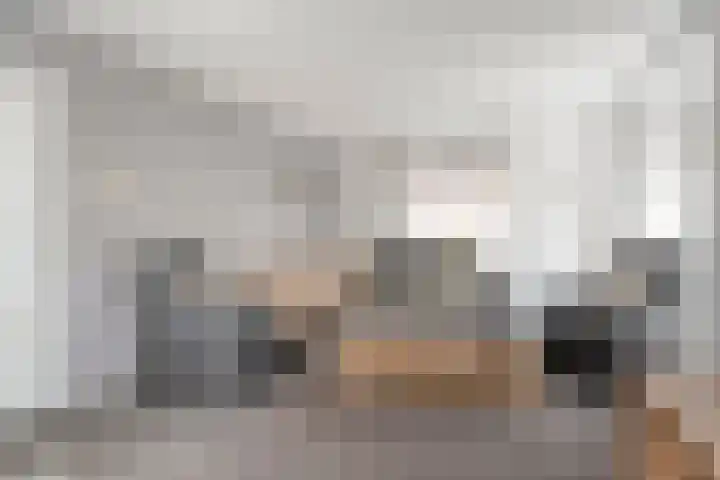 Kolonieweg 24 Balkbrug thumbnail 8