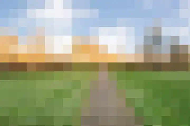 Kolonieweg 3 32 Havelte thumbnail 31