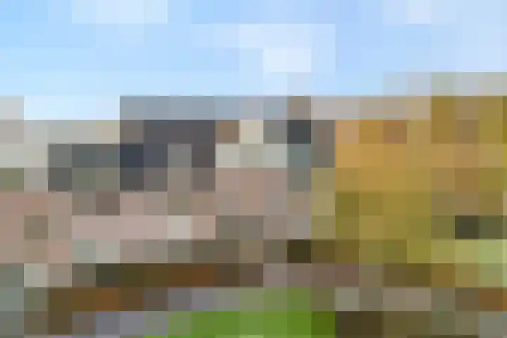 Kolonieweg 3 32 Havelte thumbnail 4