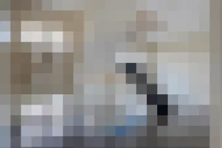 Kolonieweg 3 32 Havelte thumbnail 7
