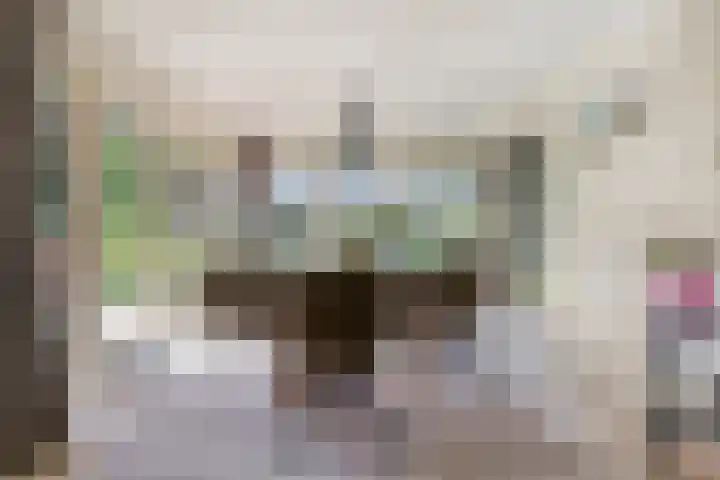 Kolonieweg 75 Havelte thumbnail 18