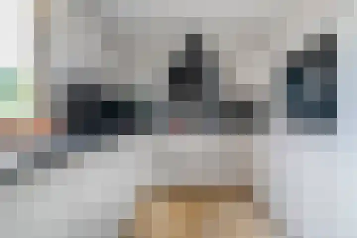 Kolonieweg 75 Havelte thumbnail 4