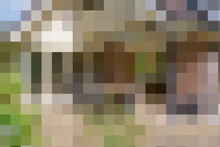 Kolonieweg 75 Havelte thumbnail 40