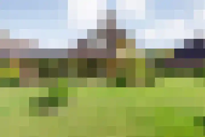 Kolonieweg 75 Havelte thumbnail 41