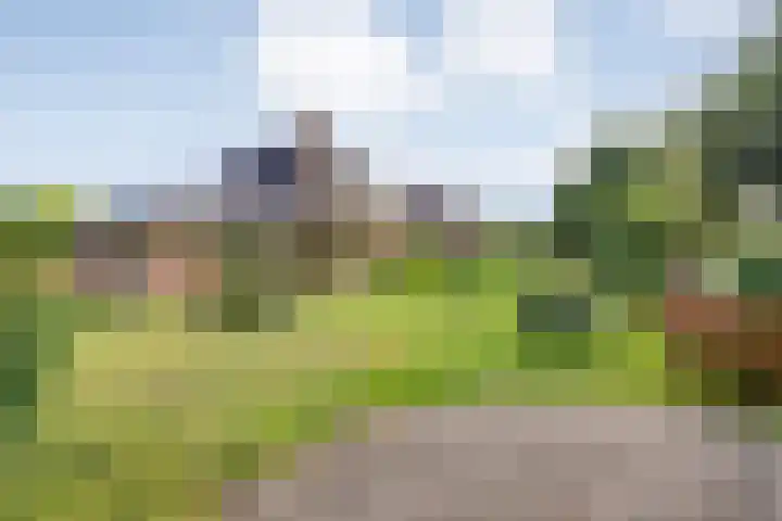Kolonieweg 75 Havelte thumbnail 43