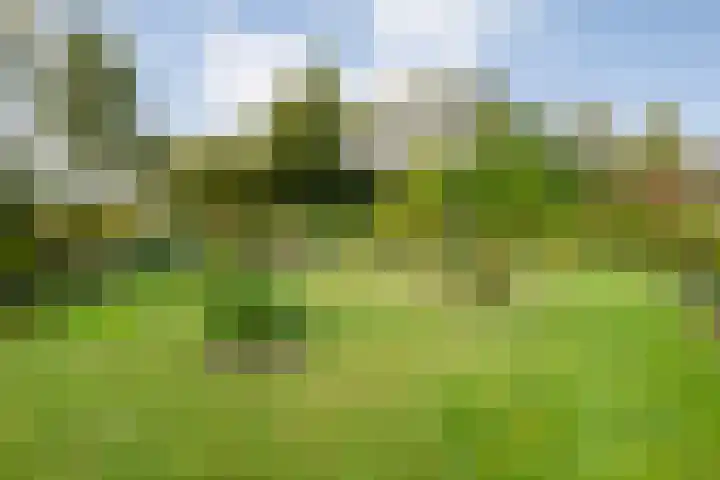Kolonieweg 75 Havelte thumbnail 44