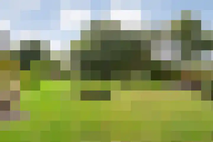 Kolonieweg 75 Havelte thumbnail 45