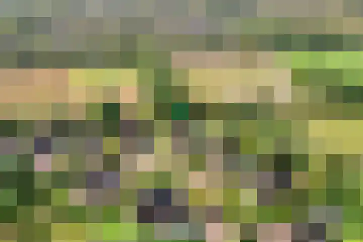 Kolonieweg 75 Havelte thumbnail 5