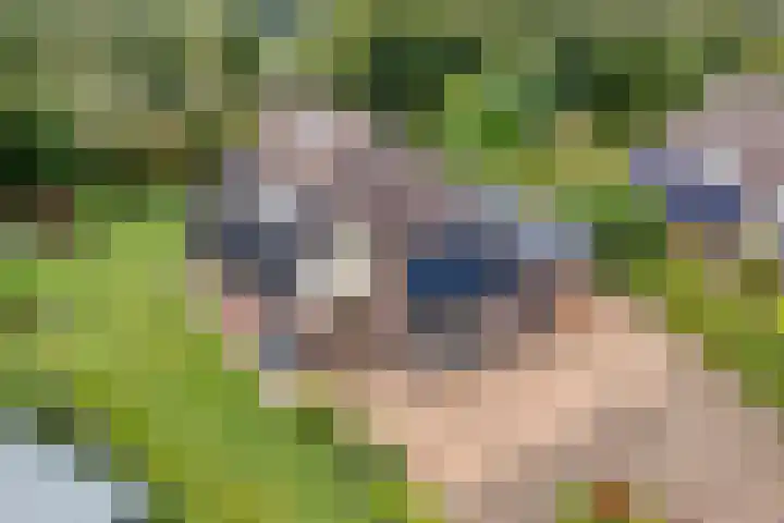 Kolonieweg 75 Havelte thumbnail 7