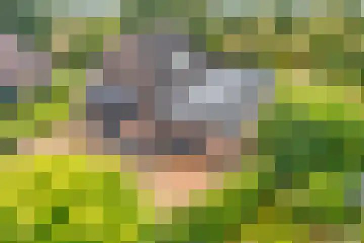 Kolonieweg 75 Havelte thumbnail 8