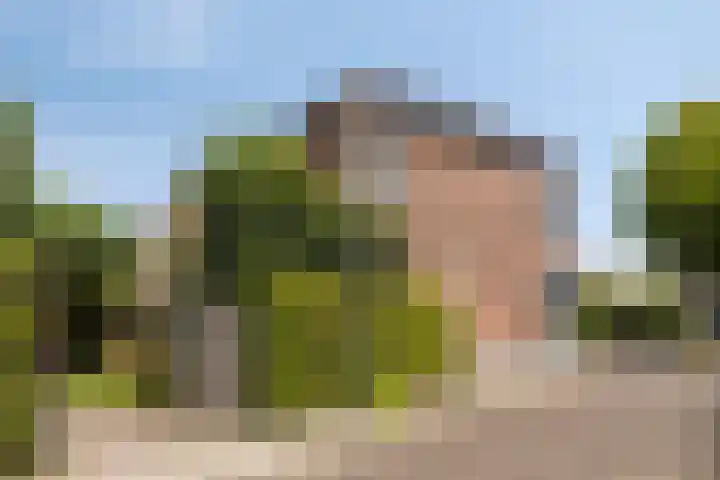 Kolonieweg 9 Havelte thumbnail 12