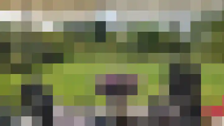 Kolonieweg 9 Havelte thumbnail 35