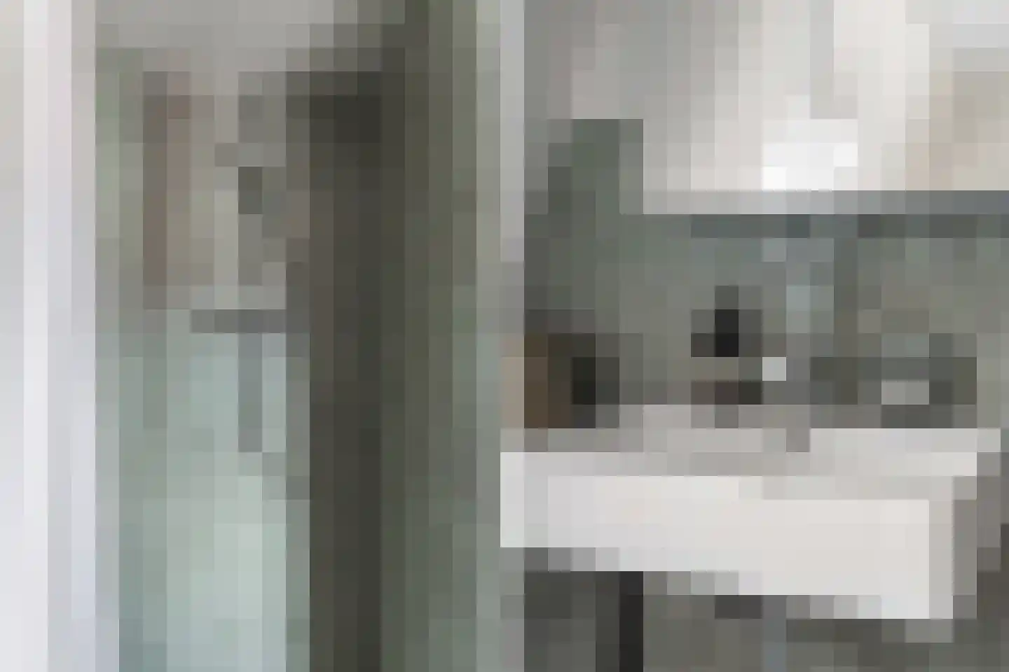 Kolonieweg 9 Havelte thumbnail 36