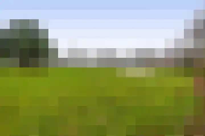 Kolonieweg 9 Havelte thumbnail 37
