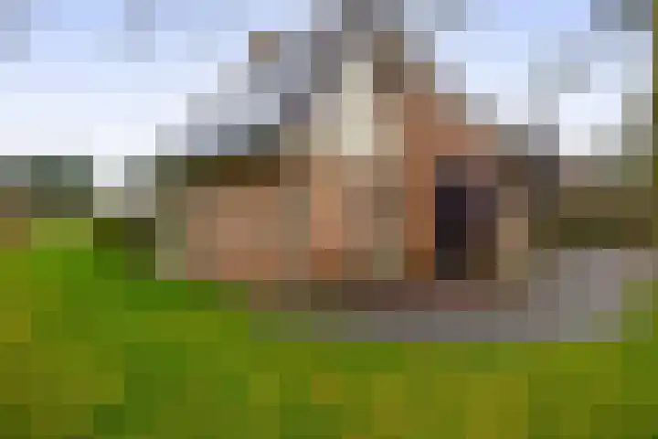 Kolonieweg 9 Havelte thumbnail 39