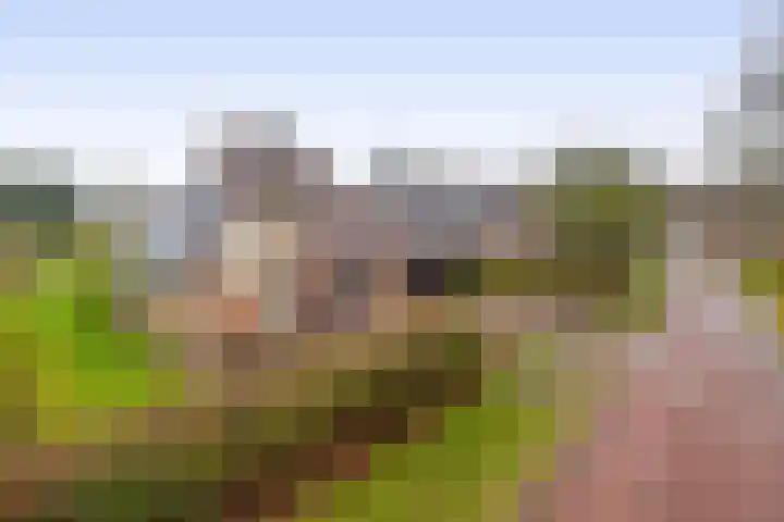 Kolonieweg 9 Havelte thumbnail 4