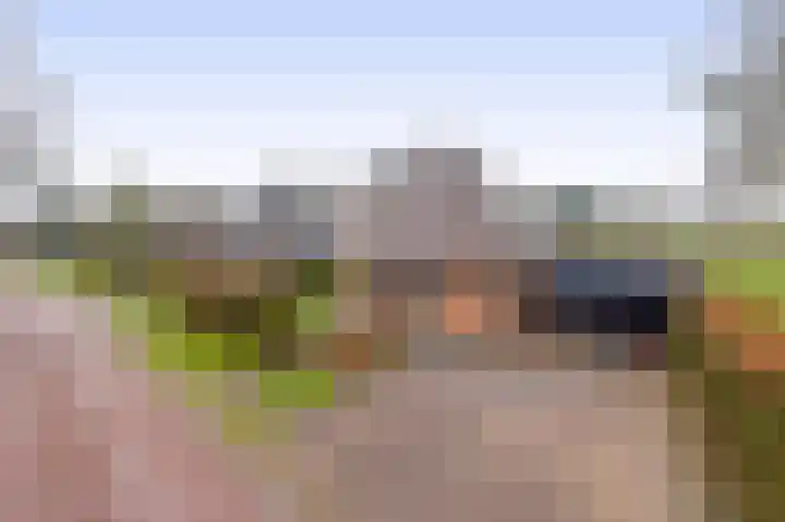 Kolonieweg 9 Havelte thumbnail 40