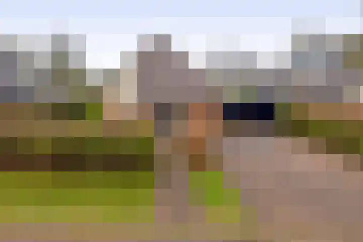 Kolonieweg 9 Havelte thumbnail 41