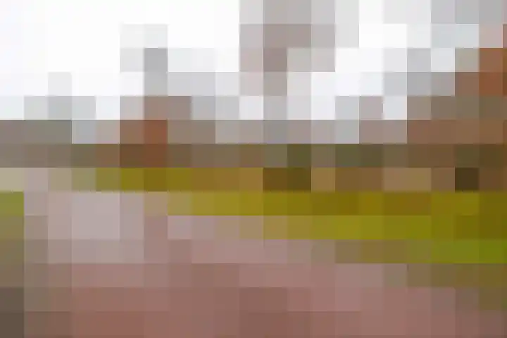 Kolonieweg 9 Havelte thumbnail 44