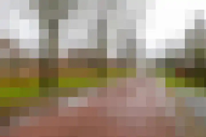 Kolonieweg 9 Havelte thumbnail 45