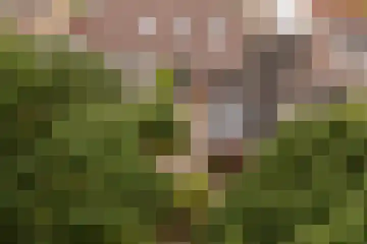Kolonieweg 9 Havelte thumbnail 46