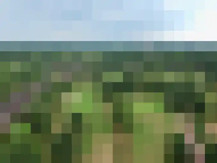Kolonieweg 9 Havelte thumbnail 46