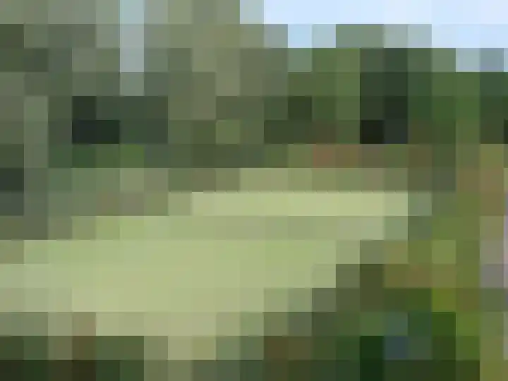 Kolonieweg 9 Havelte thumbnail 47