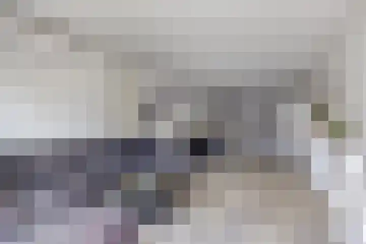 Kolonieweg 9 Havelte thumbnail 62
