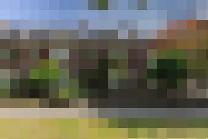 Kolonieweg 9 Havelte thumbnail 9