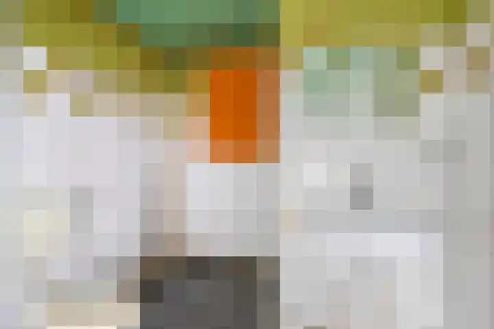 Kolthofhorst 12 Enschede thumbnail 25