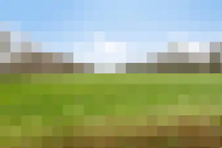 Kolthofhorst 12 Enschede thumbnail 31