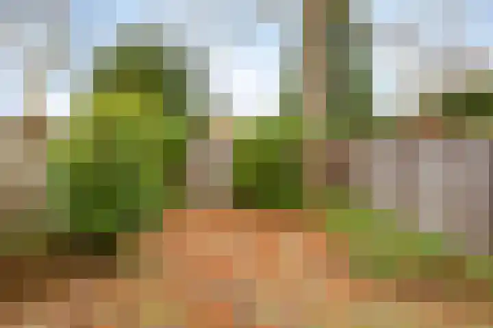 Kolthofhorst 12 Enschede thumbnail 4