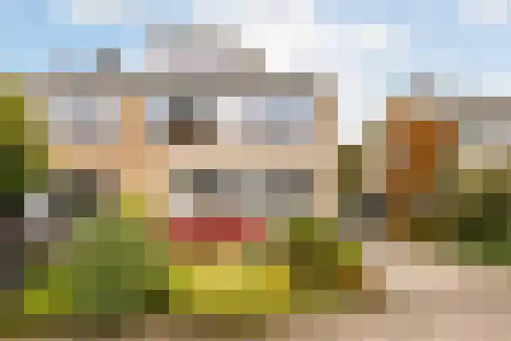 Kolthofhorst 29 Enschede thumbnail 29