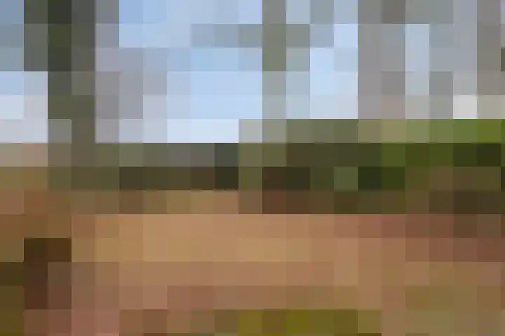 Kolthofhorst 43 Enschede thumbnail 23