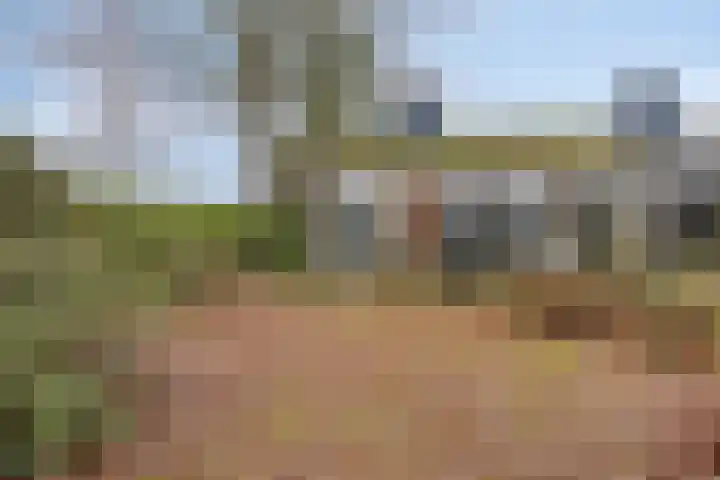 Kolthofhorst 43 Enschede thumbnail 24