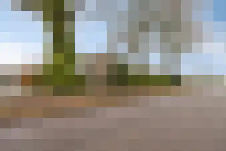 Kolthofhorst 43 Enschede thumbnail 27