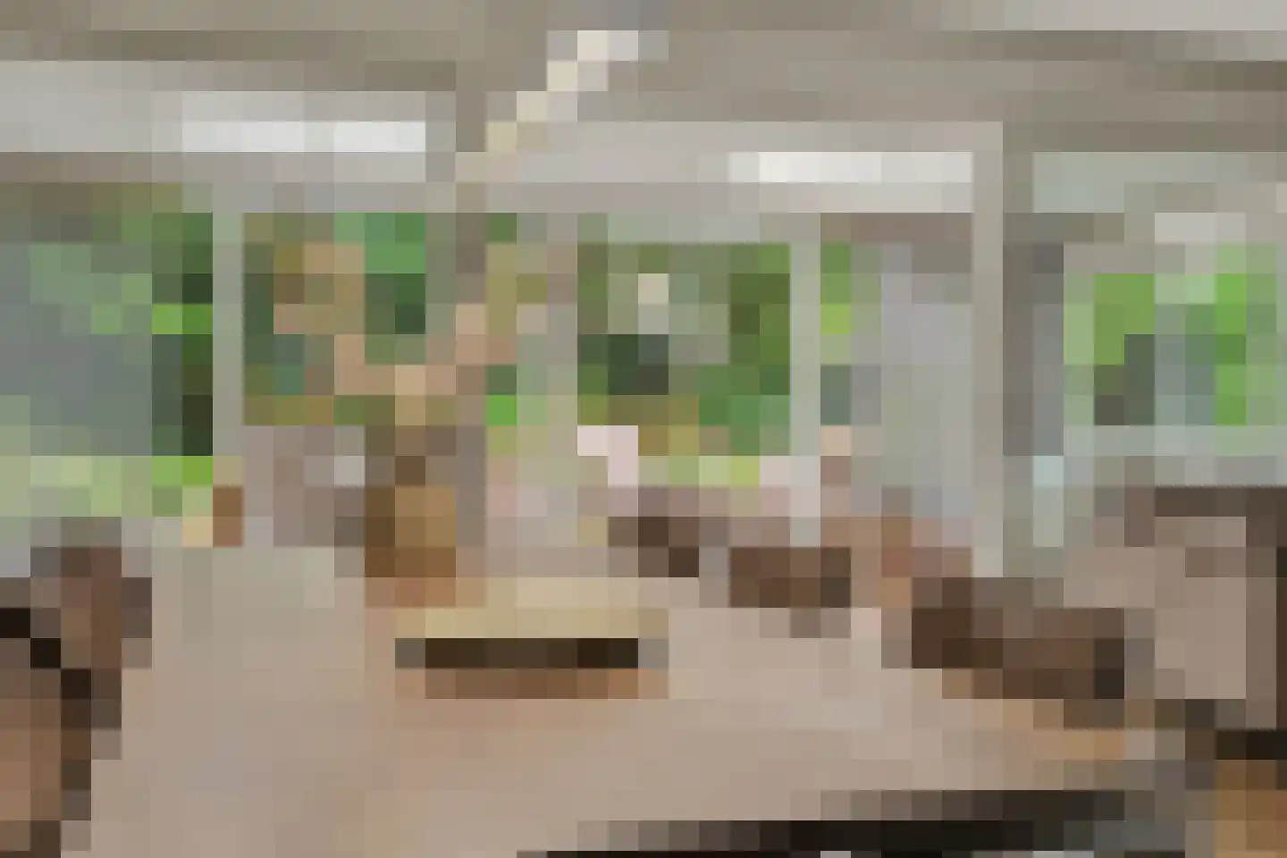 Kolthofsingel 47 Almelo thumbnail 18