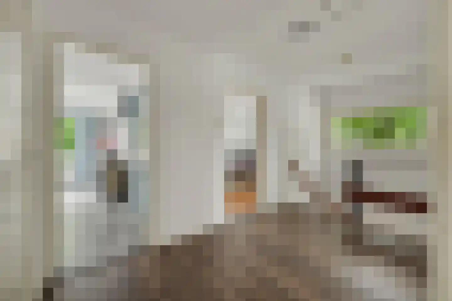 Kolthofsingel 47 Almelo thumbnail 23