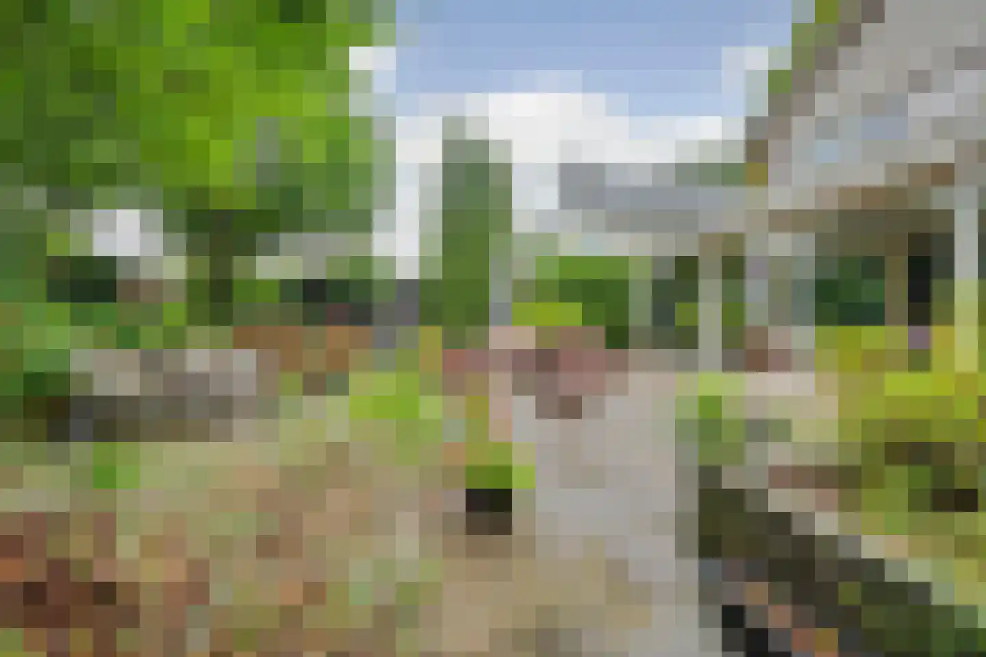 Kolthofsingel 47 Almelo thumbnail 36