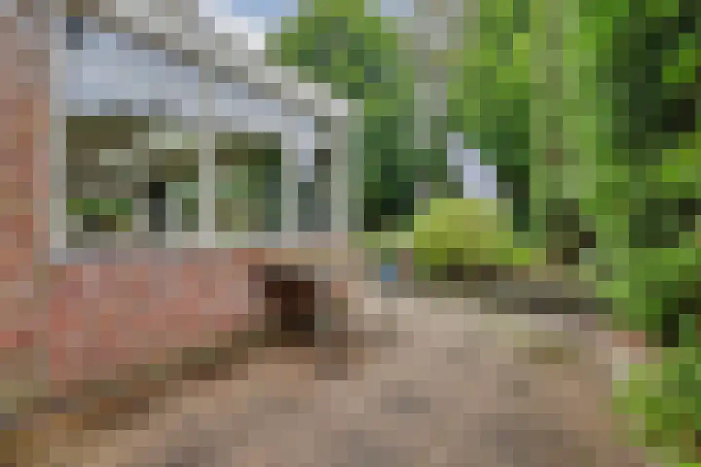 Kolthofsingel 47 Almelo thumbnail 38