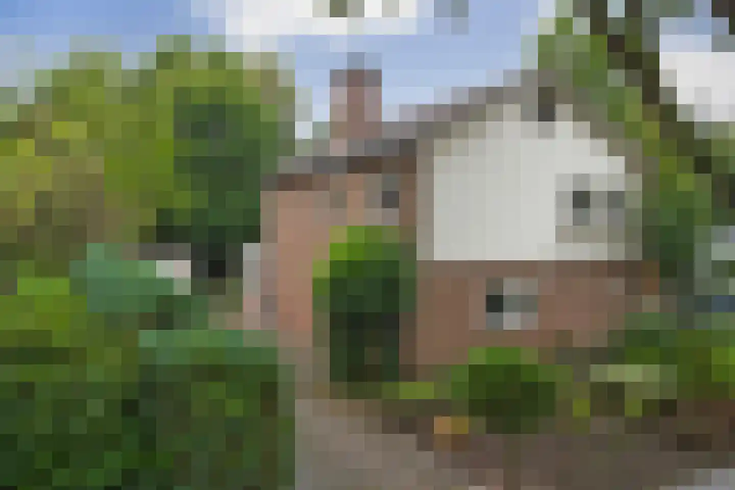 Kolthofsingel 47 Almelo thumbnail 41