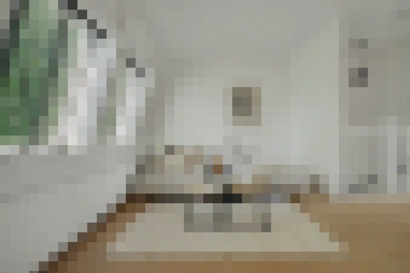 Kolveniershof 115 Goes thumbnail 16