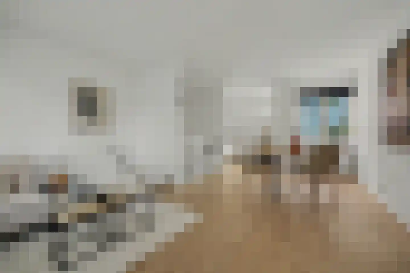 Kolveniershof 115 Goes thumbnail 17