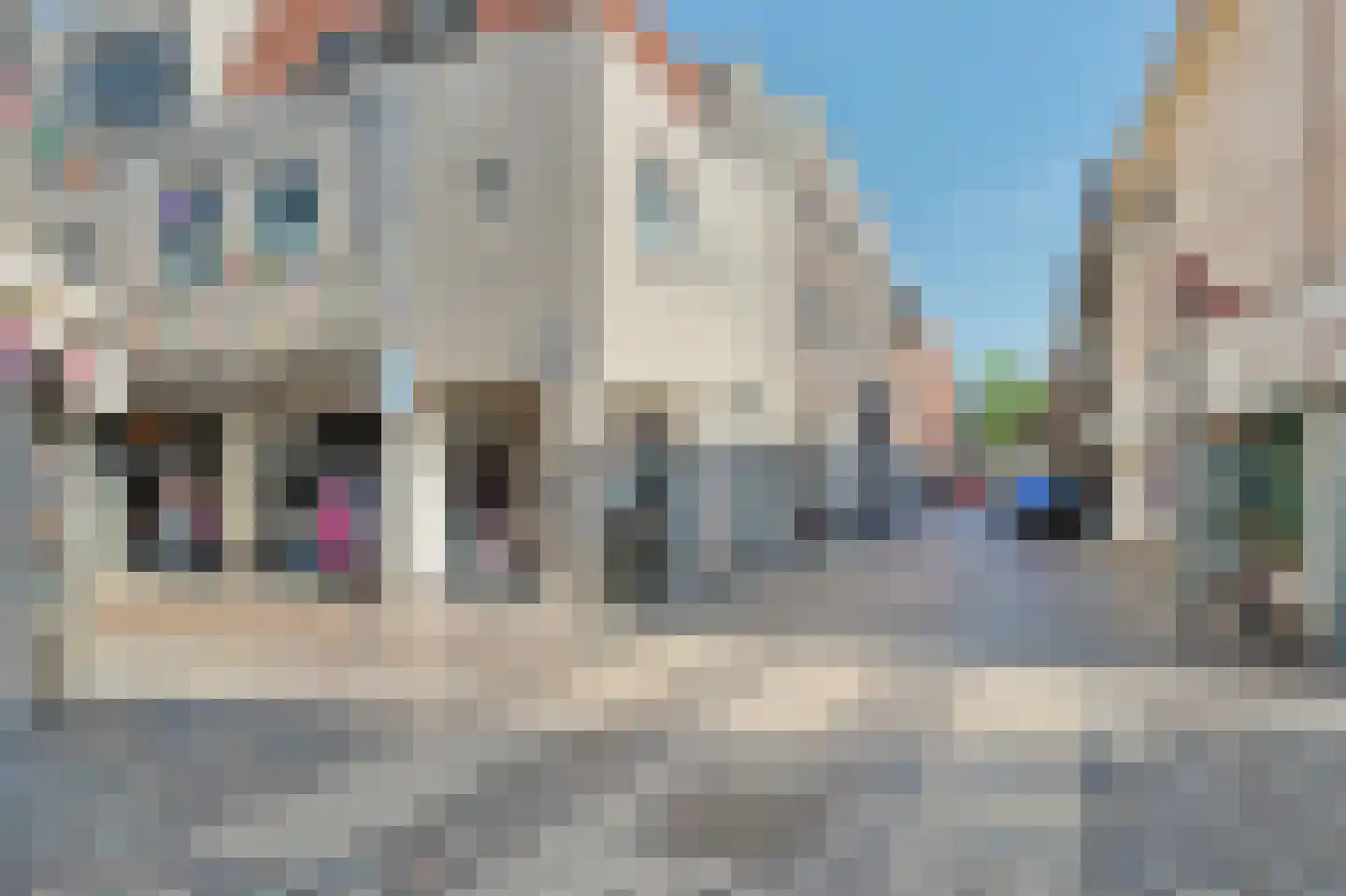 Kolveniershof 115 Goes thumbnail 5