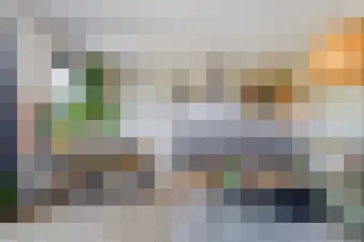 Kolveniershof 118 Goes thumbnail 10