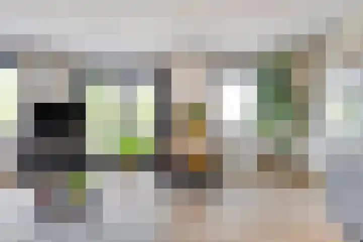 Kolveniershof 118 Goes thumbnail 12