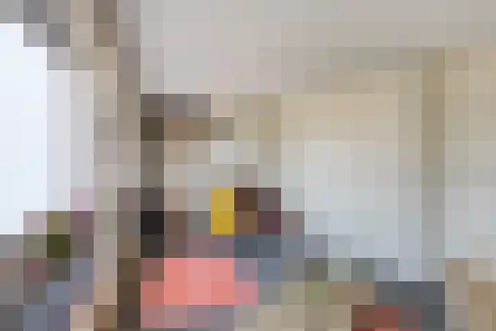 Kolveniershof 118 Goes thumbnail 19