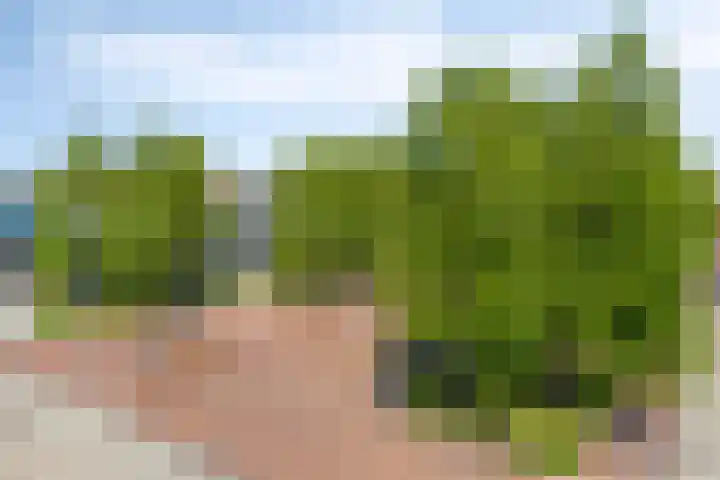 Kolveniershof 118 Goes thumbnail 21
